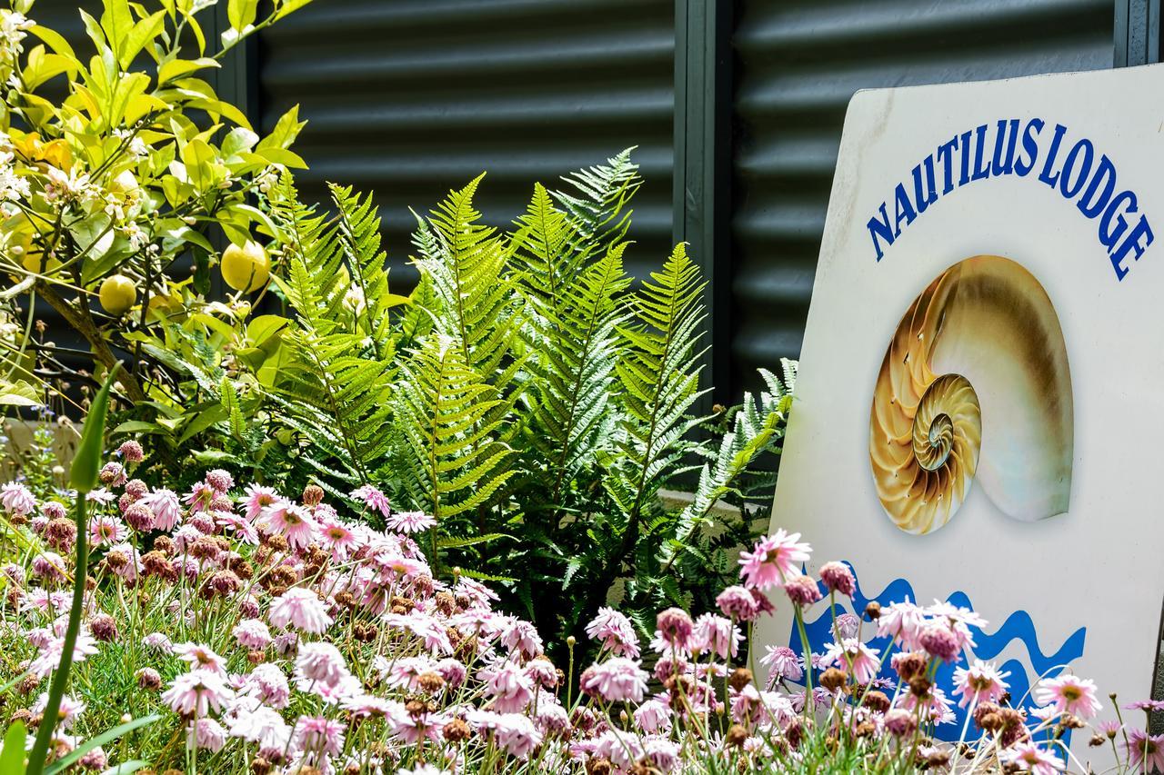 Nautilus Lodge Motel Motueka Zewnętrze zdjęcie